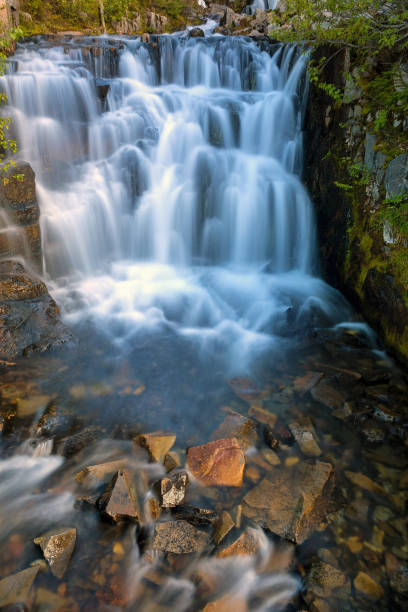 Waterfall along Sunbeam Creek in Mount Rainier National Park WA State Waterfall along Sunbeam Creek in Mount Rainier National Park Washington State pierce county washington state stock pictures, royalty-free photos & images