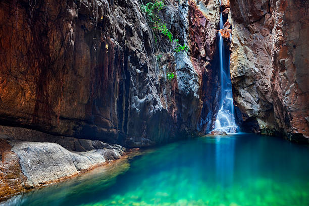 waterfall and plunge pool in el questro gorge, western australia - australia nature background bildbanksfoton och bilder