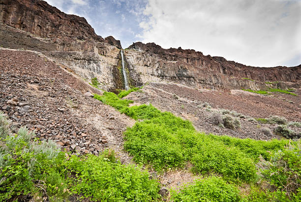 Waterfall at Frenchman Coulee East of the Cascade Mountains, Washington’s climate is arid and the terrain is desert-like. Summertime temperatures can exceed 100 degrees Fahrenheit in regions such as the Yakima Valley and the Columbia River Plateau. This is an area of rolling hills and flatlands. During the last Ice Age, 18,000 to 13,000 years ago, floods flowed across this land, causing massive erosion and leaving carved basalt canyons, waterfalls and coulees known as the Channeled Scablands. Frenchman Coulee is a valley leading through the scablands and down to the Columbia River. Volcanic in origin, it is defined by basalt cliffs. Frenchman Coulee is near Vantage, Washington State, USA. jeff goulden waterfall stock pictures, royalty-free photos & images