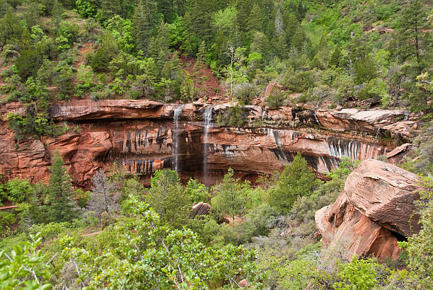 Waterfall at Lower Emerald Pool Zion Canyon is a unique and different experience than the Grand Canyon. At Zion, you are standing at the bottom looking up where at the Grand Canyon you are at the top looking down. Zion Canyon is mostly made up of sedimentary rocks, bits and pieces of older rocks that have been deposited in layers after much weathering and erosion. These rock layers tell stories of an ancient ecosystem very different from what Zion looks like today. About 110 – 200 million years ago Zion and the Colorado Plateau were near sea level and were close to the equator. Since then they have been uplifted and eroded to form the scenery we see today. Zion Canyon has had a 10,000-year history of human habitation. Most of this history was not recorded and has been interpreted by archeologists and anthropologist from clues left behind. Archeologists have identified sites and artifacts from the Archaic, Anasazi, Fremont and Southern Paiute cultures. Mormon pioneers settled in the area and began farming in the 1850s. Today, the descendants of both the Paiute and Mormons still live in the area. On November 19, 1919 Zion Canyon was established as a national park. Like a lot of public land, the Zion area benefited from infrastructure work done during the Great Depression of the 1930’s by government sponsored organizations like the Civil Works Administration (CWA) and the Civilian Conservation Corps (CCC). During their nine years at Zion the CWA and CCC built trails, parking areas, campgrounds, buildings, fought fires and reduced flooding of the Virgin River. This view of the waterfall at Lower Emerald Pool was photographed from the Emerald Pools Trail in Zion National Park near Springdale, Utah, USA. jeff goulden zion national park stock pictures, royalty-free photos & images