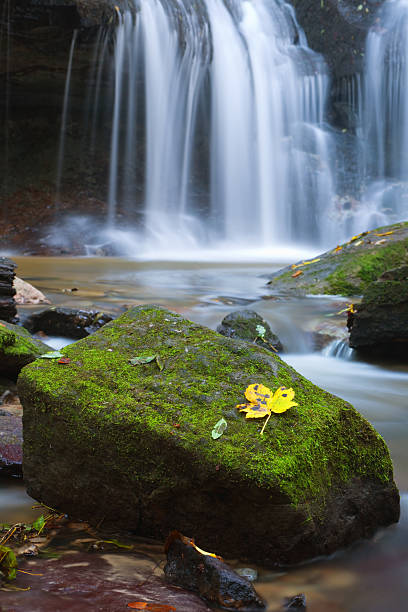 waterfall in autumn stock photo