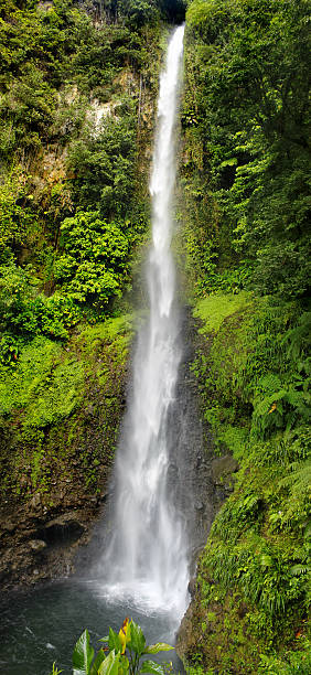 Waterfall in Rain Forest. Dominica, Caribbean islands stock photo