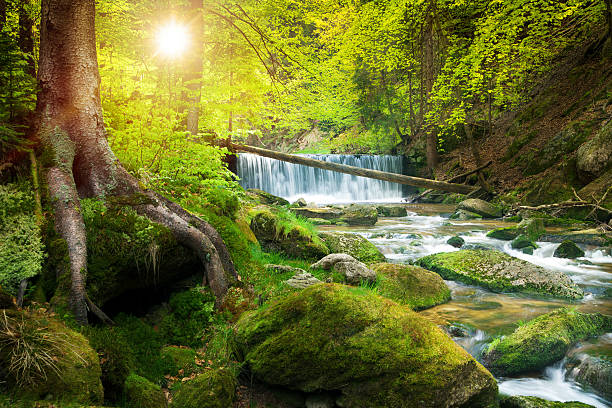 Waterfall on the Mountain Stream located in Misty Forest stock photo