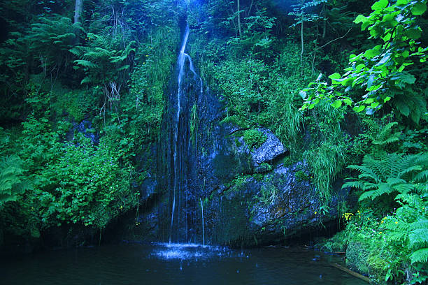 Waterfall Water stock photo