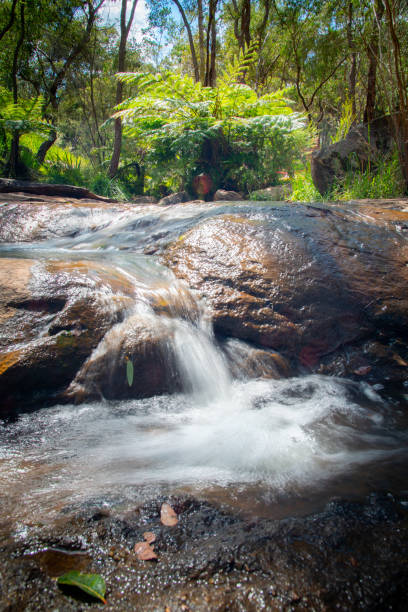 Waterfalls at Araluen in Perth, WA stock photo