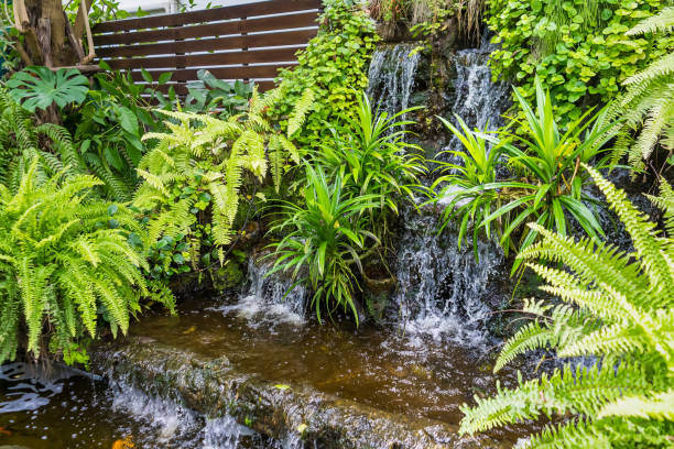 Waterfalls decorate the front and backyard. Water gardens inside the house. Waterfalls decorate the front and backyard. Water gardens inside the house. building feature stock pictures, royalty-free photos & images