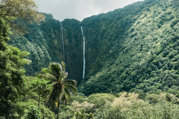 Waterfalls Waipio-Valley Big Island stock photo