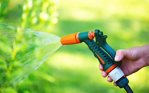 Watering garden with hose sprayer gun nozzle stock photo