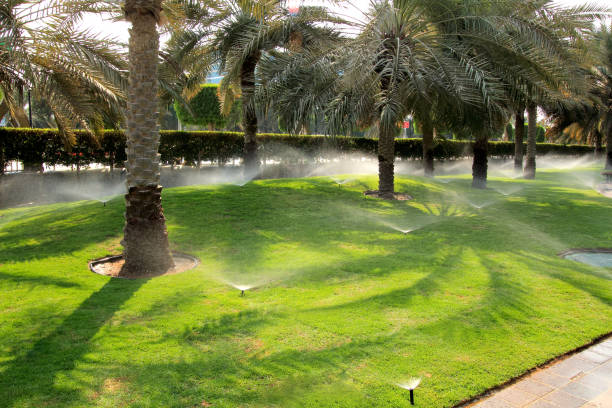 watering lawn grass in Dubai. sprinkler spaying water. stock photo