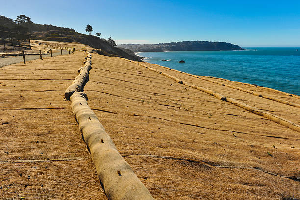 Waterside erosion control mesh and sand booms along a coast Burlap erosion control mesh covers ground next to walking path erosion control stock pictures, royalty-free photos & images