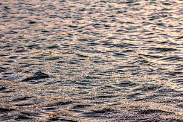 Wavy and disturbed water of the Baltic sea near Stockholm stock photo