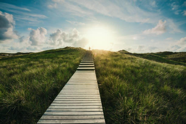 Way through the dunes Boardwalk through the dunes, Amrum, Germany footpath stock pictures, royalty-free photos & images