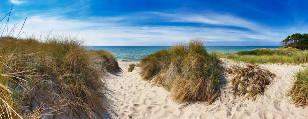 Way to Beach "Weststrand" at west coast of island Darß (Mecklenburg-Western Pommerania, Germany) stock photo