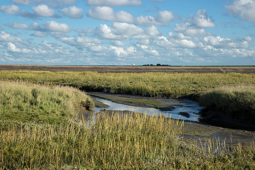 Wddenzee Maritime landscape, heathland, blue sky and cloud