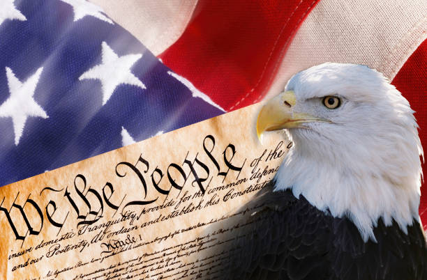 We the People. We the people with American bald eagle and flag. 1776 american flag stock pictures, royalty-free photos & images