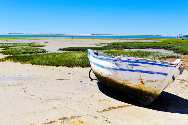 weathered  fishing boat on the sand at low tide, ria formosa natural park,algarve,portugal - ria formosa imagens e fotografias de stock