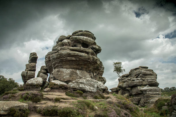 Weathered Rocks at Brimham in the Yorkshire Dales National park Landscape images showing weathered gritstone rock formations at Brimham in the Yorkshire Dales National park. brimham rocks stock pictures, royalty-free photos & images