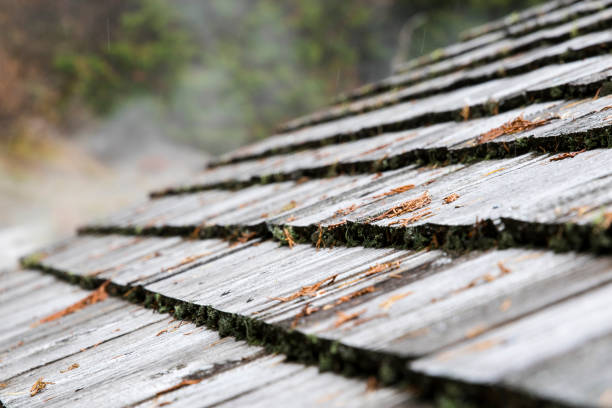 Weathered wooden roof tiles Weathered wooden roof tiles in the mountains erik trampe stock pictures, royalty-free photos & images