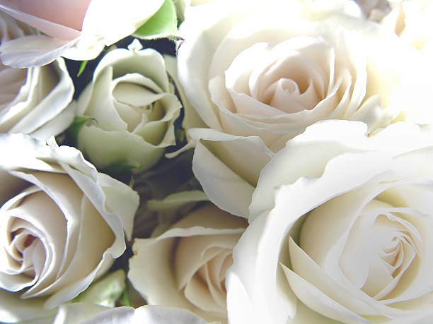 Wedding close up of white bridal bouquet stock photo