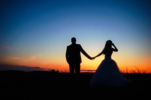 wedding couple in field. Bride and groom together. stock photo