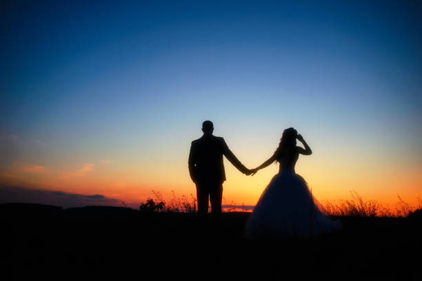 wedding couple in field. Bride and groom together. stock photo