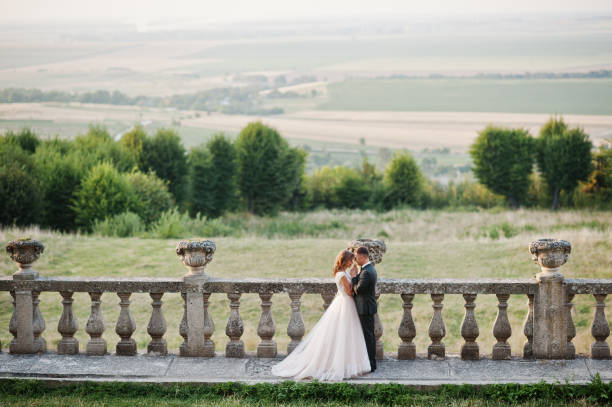 bruidspaar in liefde - castle couple stockfoto's en -beelden