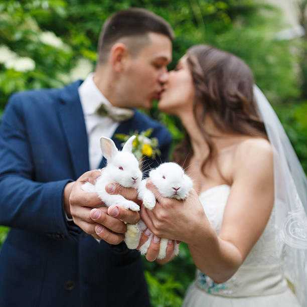Wedding couple with two small rabbits stock photo