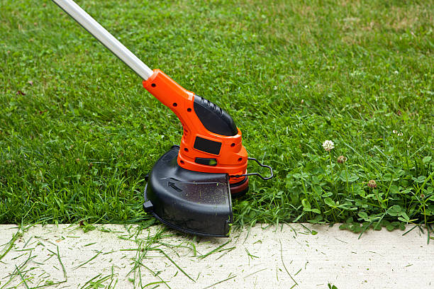 Weed Trimmer Trimming Grass Along Sidewalk Close-up of a string weed trimmer trimming the grass along a concrete sidewalk. hedge clippers stock pictures, royalty-free photos & images