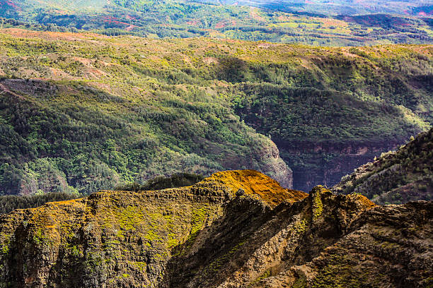 Weimea Canyon State Park, Kauia, Hawaii stock photo