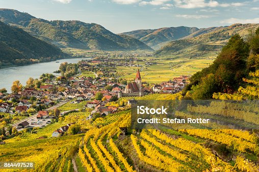 istock Weissenkirchen Wachau Austria in autumn colored leaves and vineyards on a sunny day 864497528