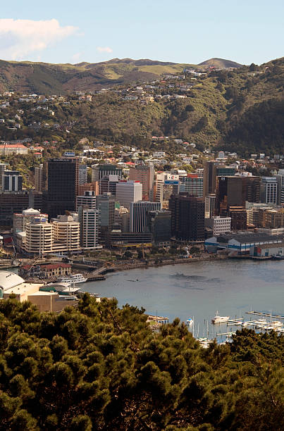 Wellington City, New Zealand stock photo