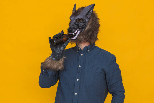 A werewolf drinking a beer stock photo