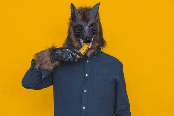 A werewolf eating a banana stock photo