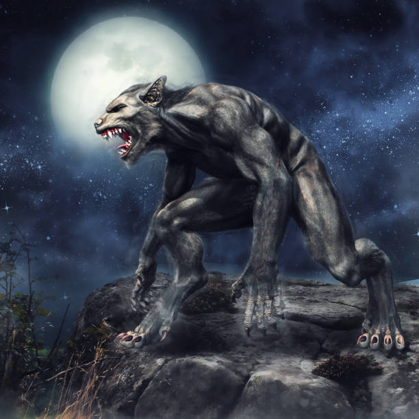 Werewolf standing on a cliff Fantasy werewolf standing on a rocky cliff on a full moon night. 3D render. monster fictional character stock pictures, royalty-free photos & images