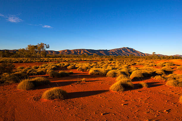 west macdonnell ranges, northern territory, australia - northern light stockfoto's en -beelden