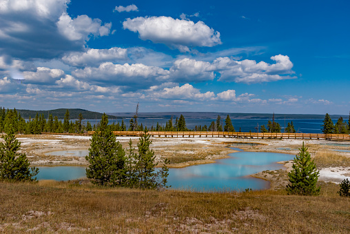 West Thumb geysers of hot turquoise springs from deep pools on the edge of Yellowstone Lake in Southern Yellowstone National Park , Wyoming, in the United States of America (USA)