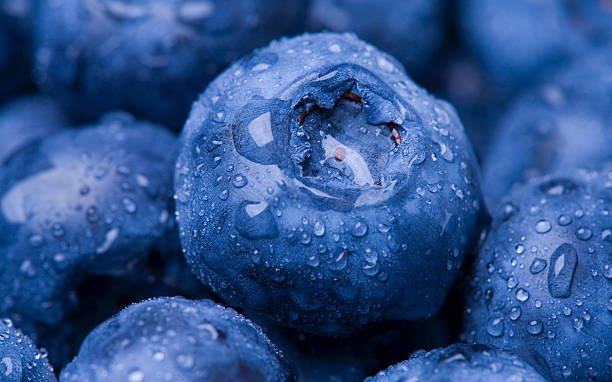 wet blueberry closeup - macrofotografie stockfoto's en -beelden