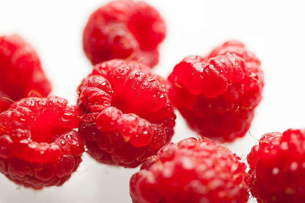 Wet Raspberries stock photo