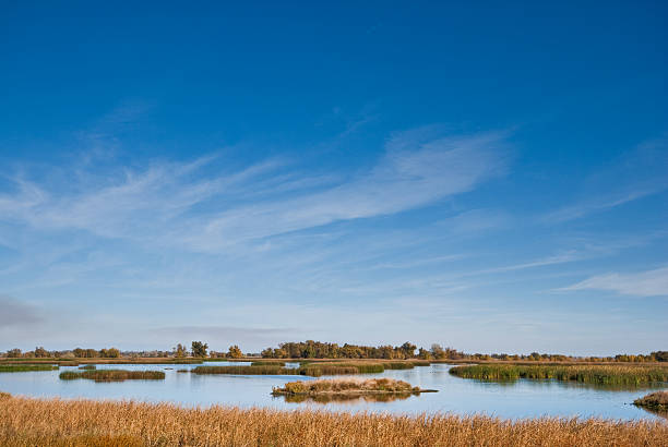 Wetland at the Refuge The National Wildlife Refuges are great places to view and photograph wildlife. Often, the natural beauty of these treasured places can be more inspiring than the wildlife that live there. Some of the best landscape pictures are often taken at wildlife refuges. This photograph was taken at the Sacramento National Wildlife Refuge near Willows, California, USA. jeff goulden national wildlife refuge stock pictures, royalty-free photos & images