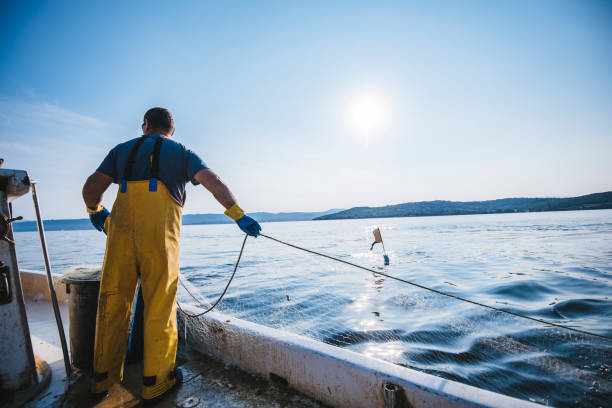 What am I gonna catch today? Fisherman putting the fishing net into the water. He is standing on his boat. Sun in back. fishing boat stock pictures, royalty-free photos & images