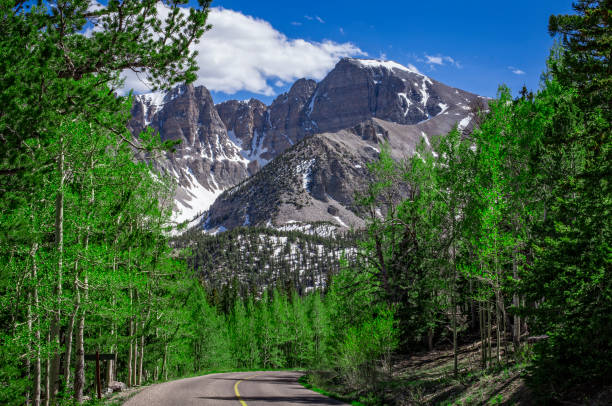 Wheeler Peak, Great Basin National Park, Nevada, USA A view from the road leading up Wheeler Peak in Great Basin National Park, Nevada, USA great basin stock pictures, royalty-free photos & images