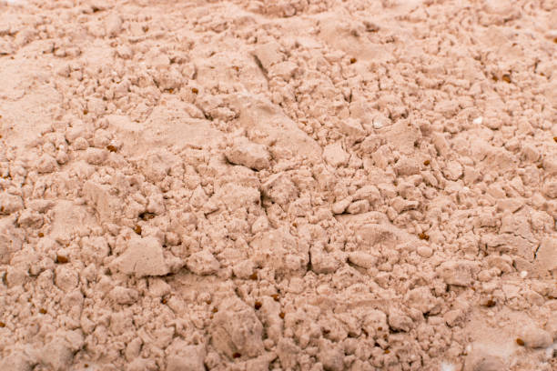 vassle kakao protein pulver textur för brun fitness shake - pea protein powder isolated bildbanksfoton och bilder