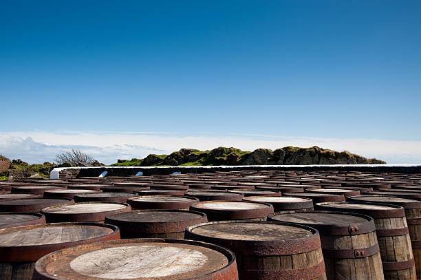 Whisky barrels stock photo