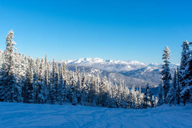 Whistler Blackcomb Mountain British Colombia Winter scenery ariane stock pictures, royalty-free photos & images