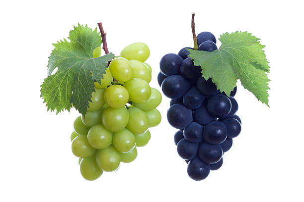 White and Black grapes　 Fresh white grapes and Black grapes isolated on white. grape stock pictures, royalty-free photos & images