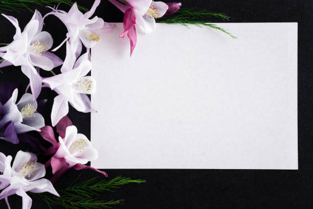 witte lege condoleance kaart met verse bloemen op de donkere achtergrond. lege plek voor een tekst. - rouwkaart stockfoto's en -beelden