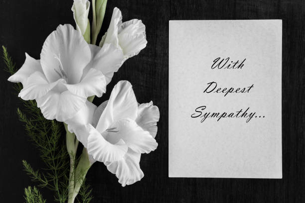 witte lege condoleance kaart met tekst en wit gladiolen bloem op de donkere achtergrond. - rouwkaart stockfoto's en -beelden