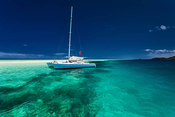 White catamaran in shallow tropical water with snorkeling reef White catamaran in shallow tropical water with green snorkeling reef catamaran stock pictures, royalty-free photos & images