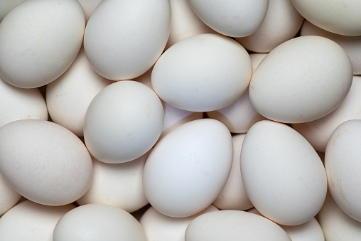 White raw chicken eggs making a background pattern