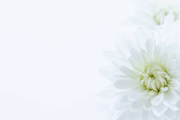 funeral background stock photos pictures royaltyfree